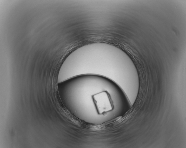 X0000114630096200910201031