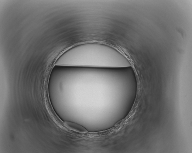 X0000114630097200910201030