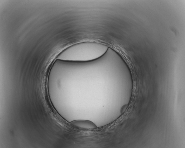 X0000114630098200910201030