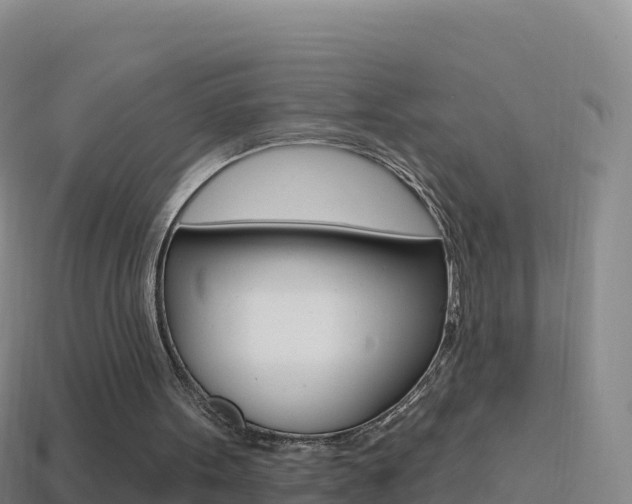 X0000114630099200910201030