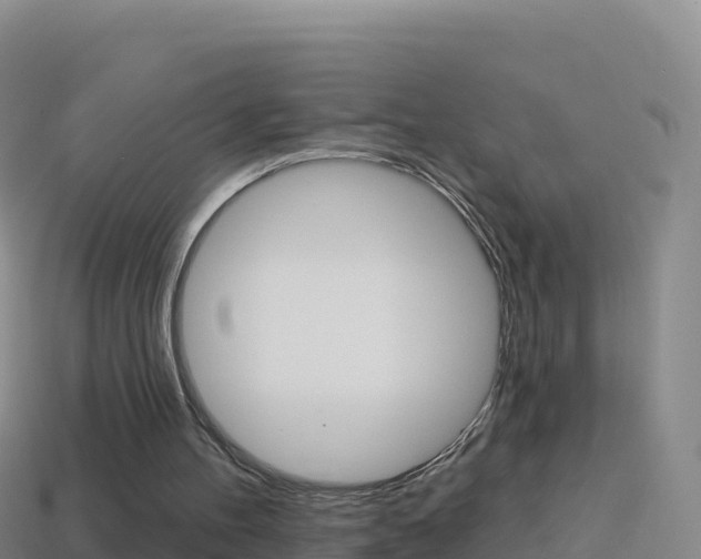 X0000114630100200910201030