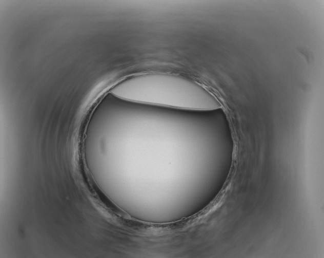 X0000114630101200910201030