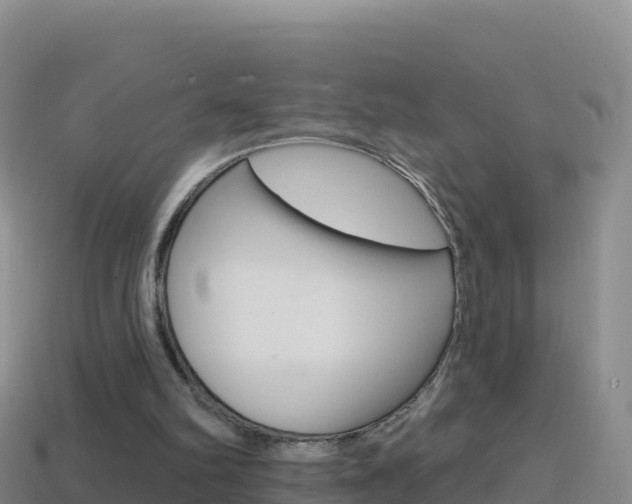 X0000114630102200910201030