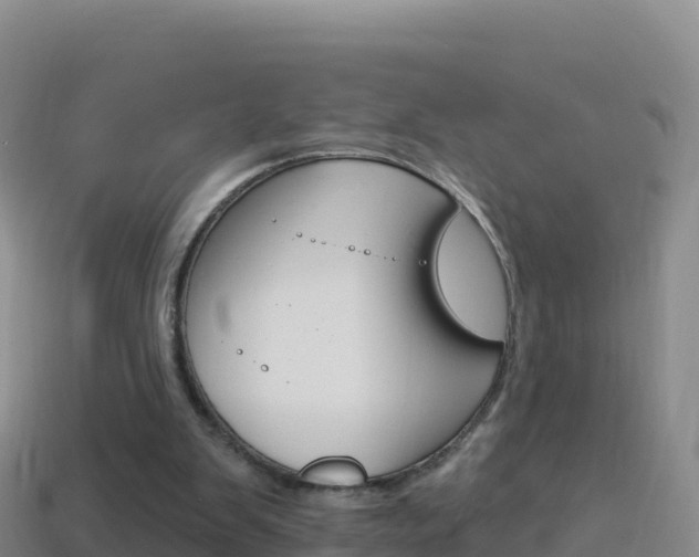 X0000114630103200910201030