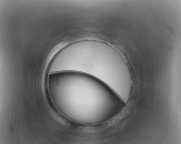 X0000114630104200910201030