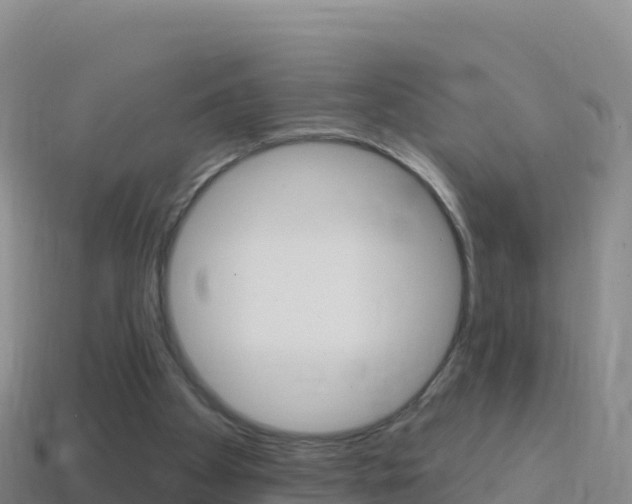 X0000114630105200910201030