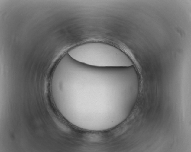 X0000114630106200910201030