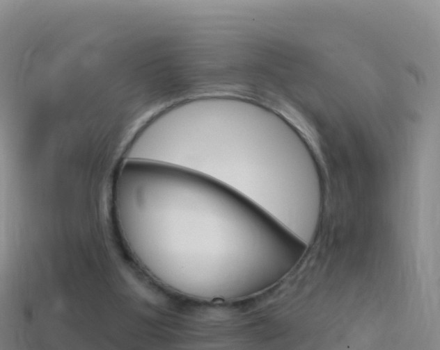 X0000114630107200910201030