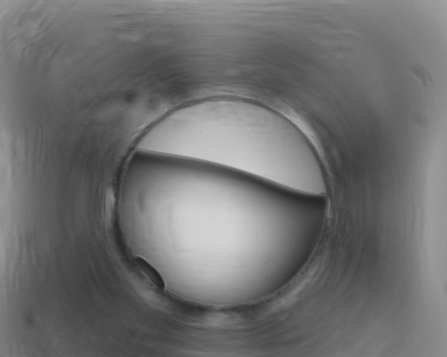 X0000114630109200910201030