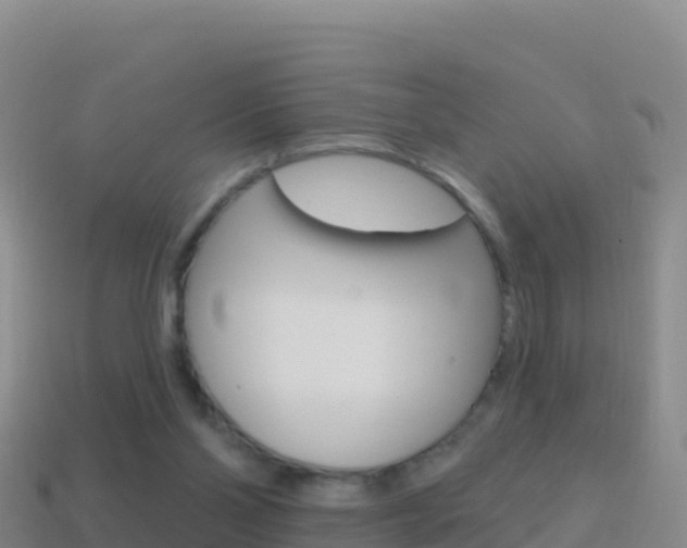 X0000114630110200910201030