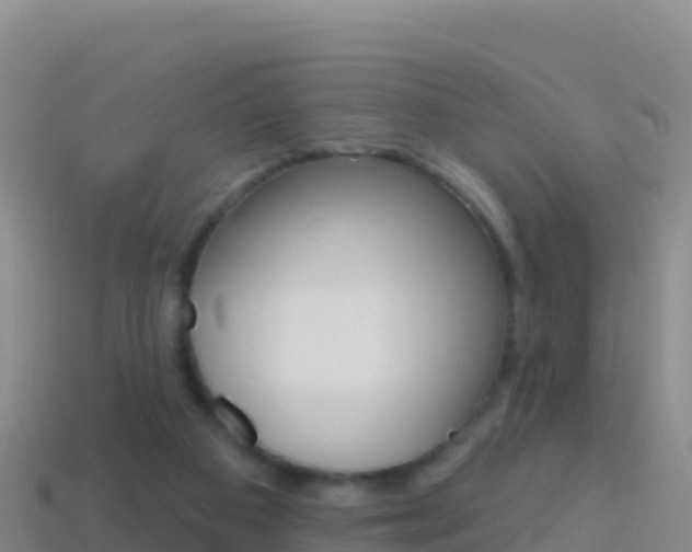 X0000114630113200910201030