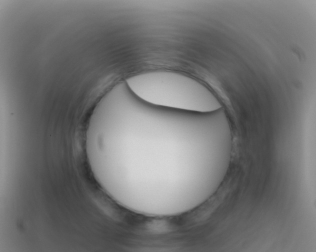 X0000114630114200910201030