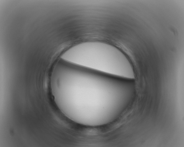 X0000114630115200910201030