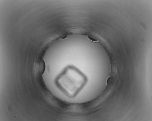 X0000114630117200910201030