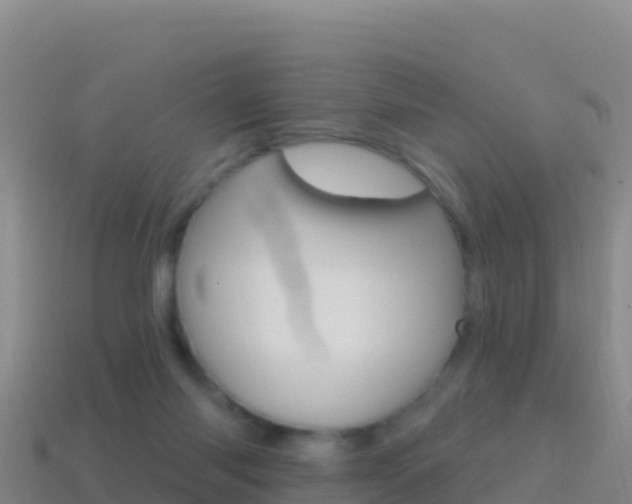 X0000114630118200910201030