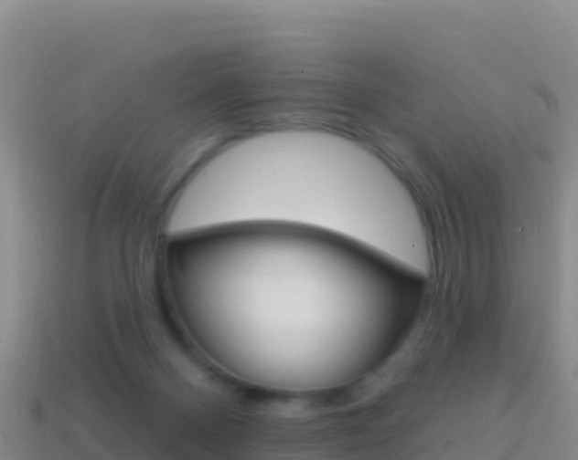 X0000114630120200910201030