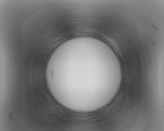 X0000114630121200910201030