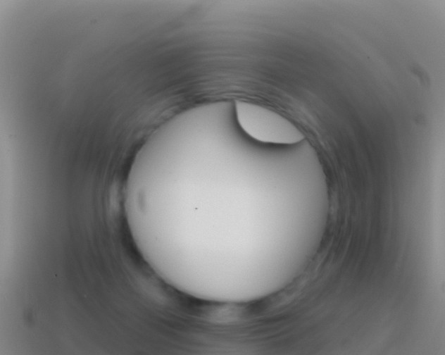 X0000114630122200910201030