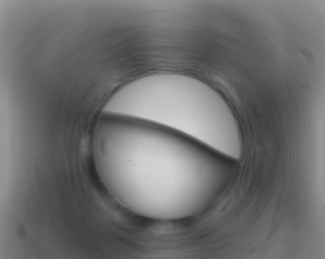 X0000114630123200910201030