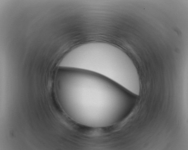 X0000114630124200910201030