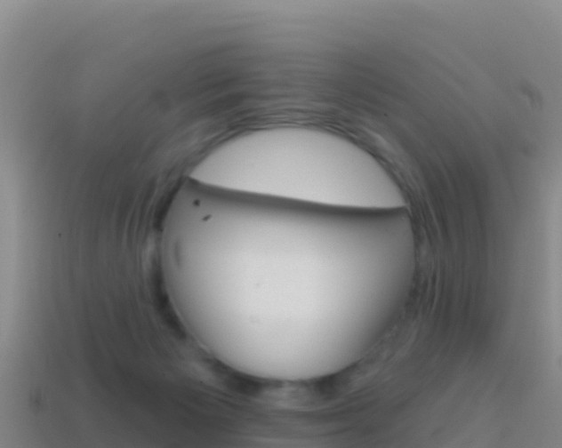 X0000114630125200910201030