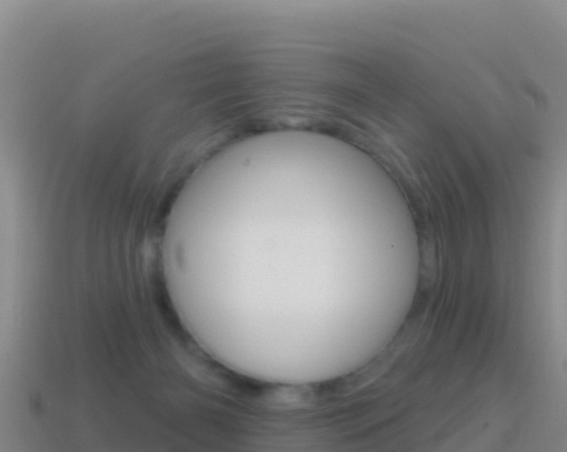 X0000114630126200910201030