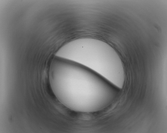 X0000114630127200910201030