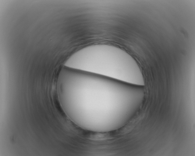 X0000114630129200910201030