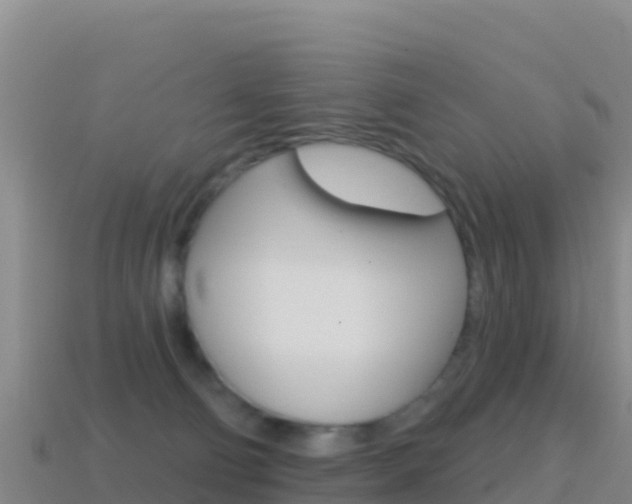 X0000114630130200910201030