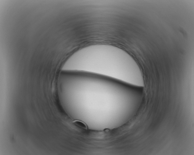 X0000114630131200910201030