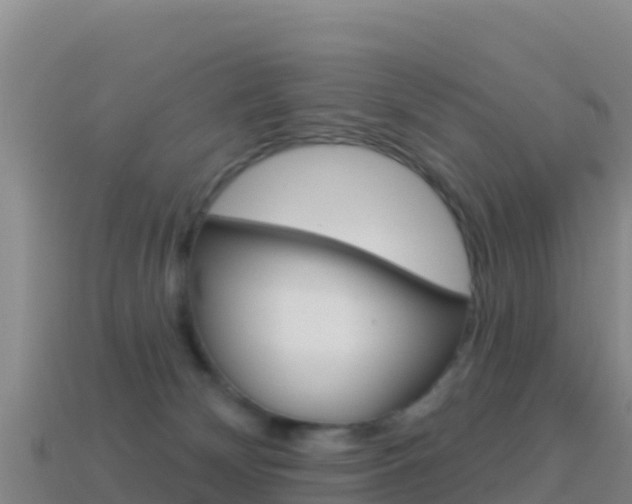 X0000114630132200910201030