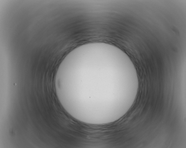 X0000114630133200910201030