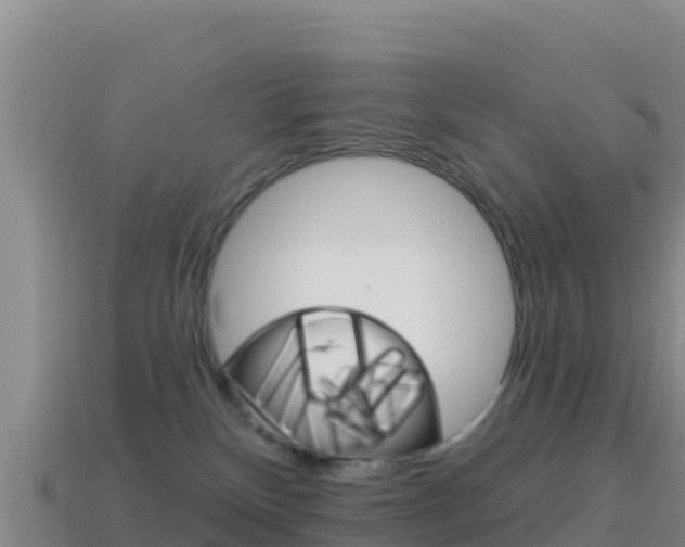 X0000114630136200910201030