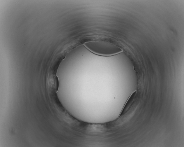 X0000114630137200910201030