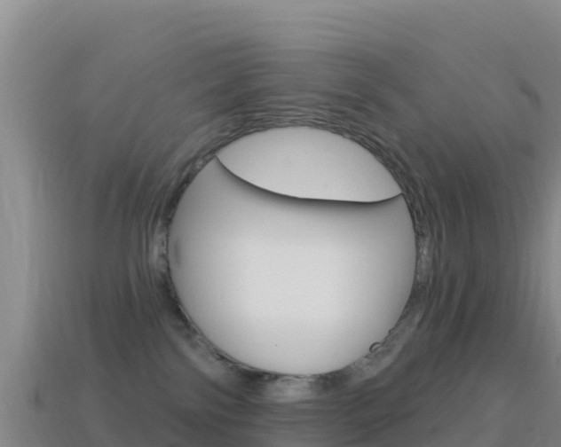 X0000114630138200910201030