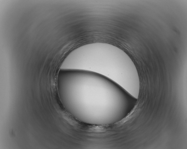 X0000114630140200910201029