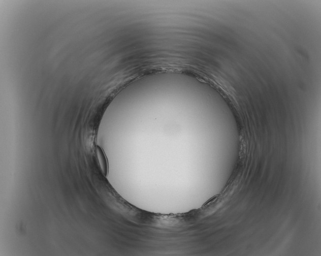 X0000114630141200910201029