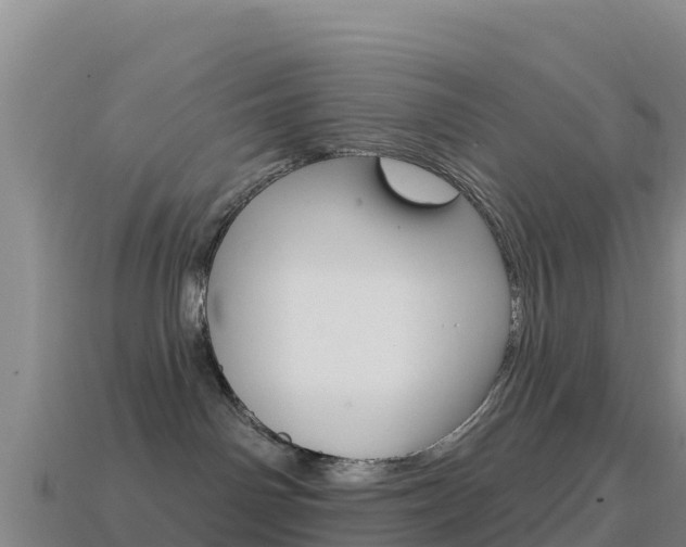 X0000114630142200910201029