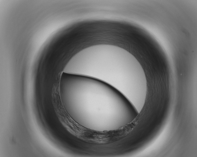 X0000114630143200910201029