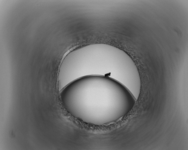 X0000114630144200910201029