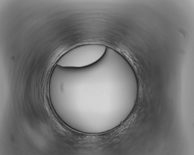 X0000114630145200910201029