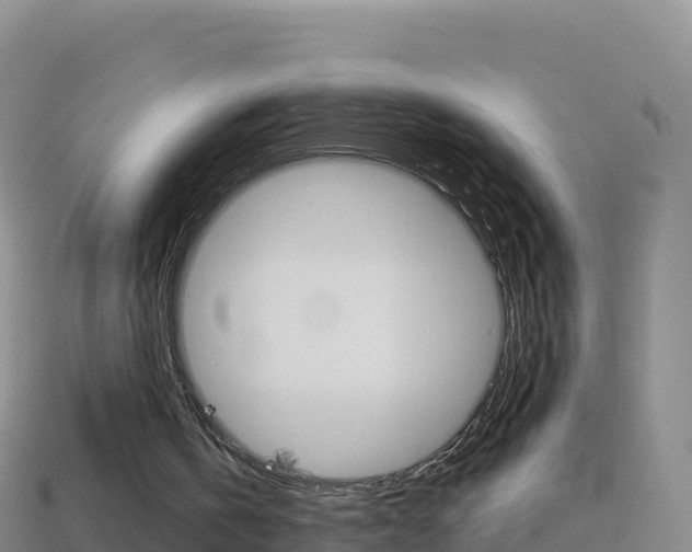 X0000114630146200910201029