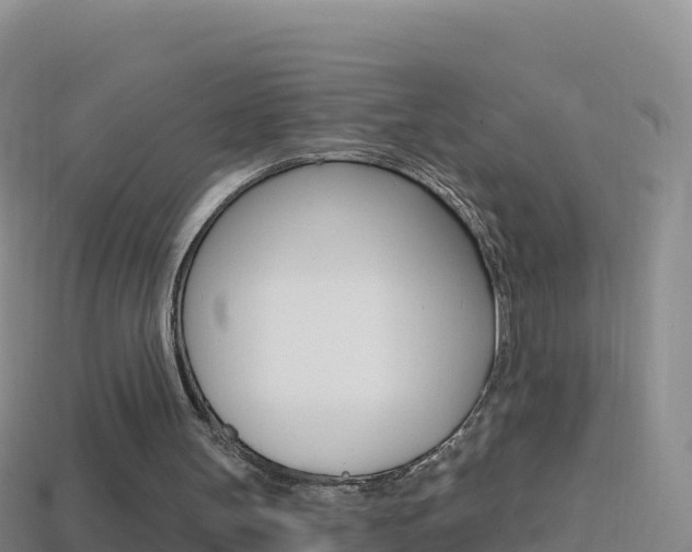 X0000114630147200910201029