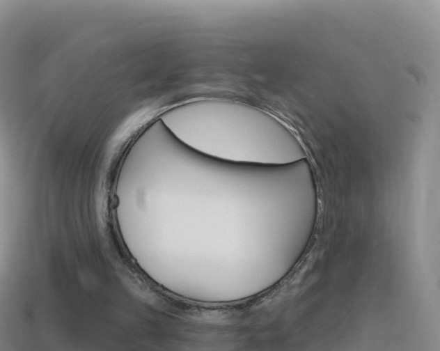 X0000114630149200910201029