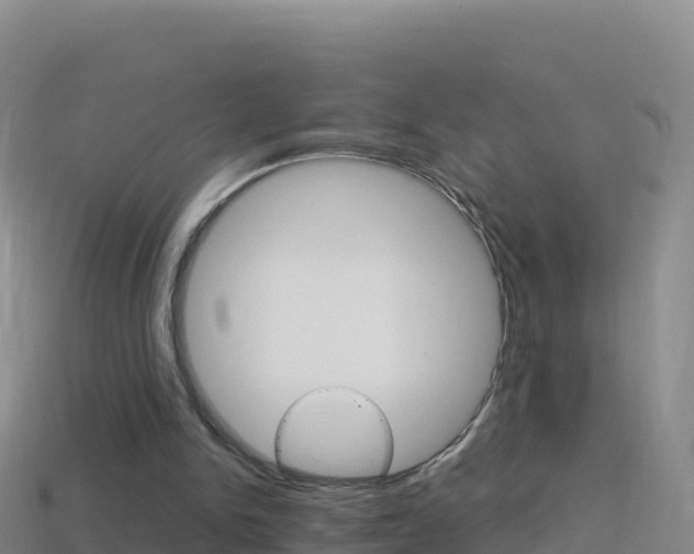 X0000114630150200910201029