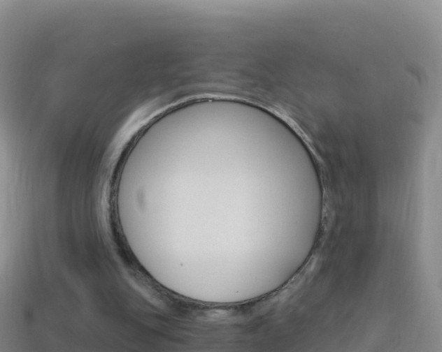 X0000114630151200910201029