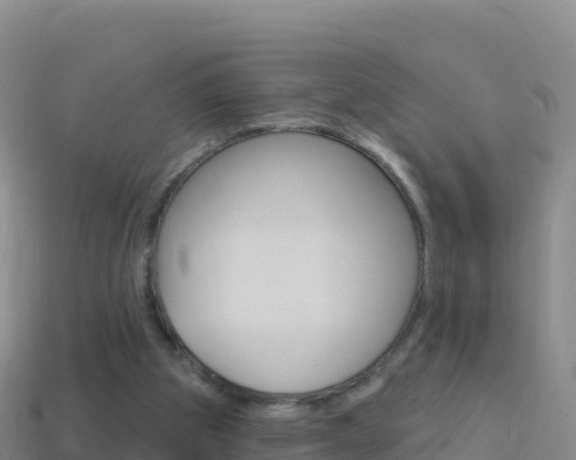 X0000114630153200910201029