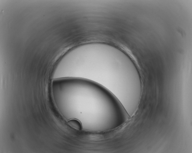 X0000114630154200910201029