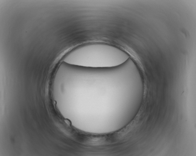 X0000114630155200910201029