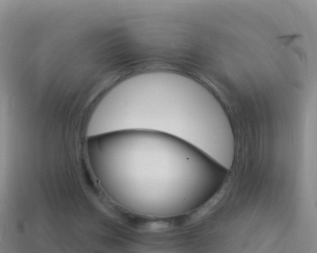 X0000114630158200910201029